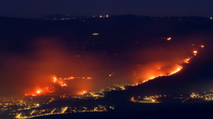 Feux de forêts dans le nord d'Israël après des tirs de roquettes du Liban