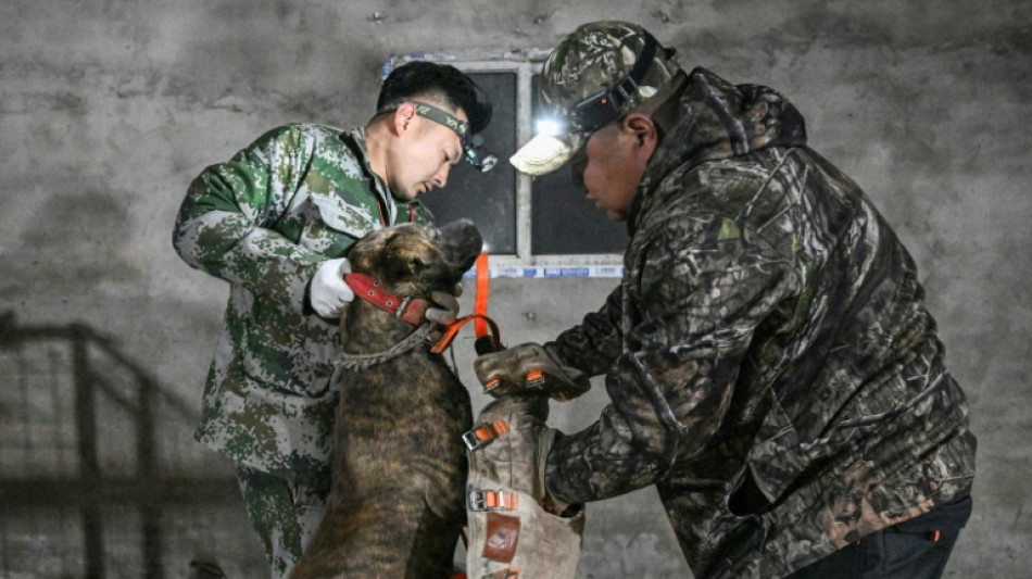 China's viral wild boar hunters attract fame and concern