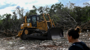 Un juez frena la construcción de un tramo del Tren Maya en México