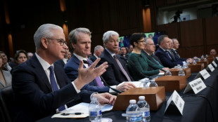 Big US banks balk at new capital rules in Senate hearing