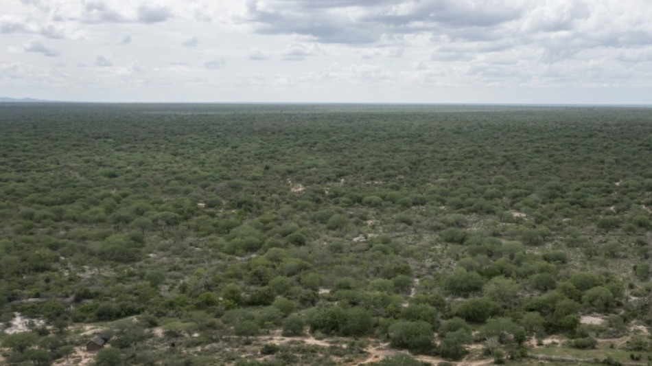 Kenya to convert cult massacre forest into memorial site