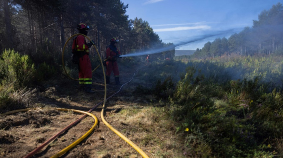 Tras un año de estragos, España se prepara contra los incendios forestales