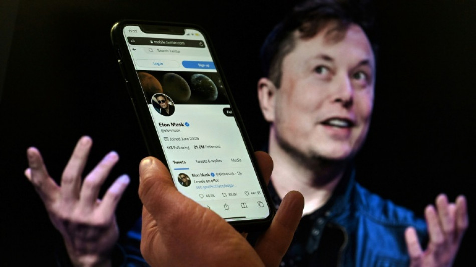 Musk hat Finanzmittel für Übernahme von Twitter zusammen