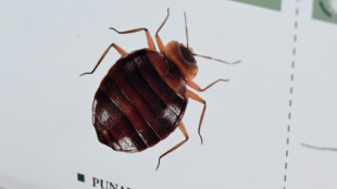 London mayor says concerned by bedbug outbreaks in France