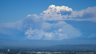 Les environs de Los Angeles parsemés d'incendies en progression