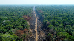 Worst-ever February rainforest data for Brazilian Amazon