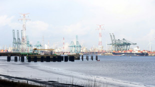 Terminales portuarios en tres países europeos sufren  un ciberataque