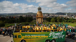 Springbok 'legends' start homecoming World Cup victory tour