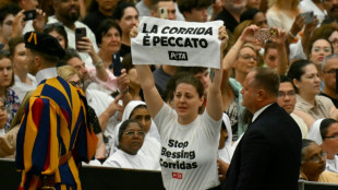 Defensores de animais interrompem audiência do papa e pedem fim das touradas