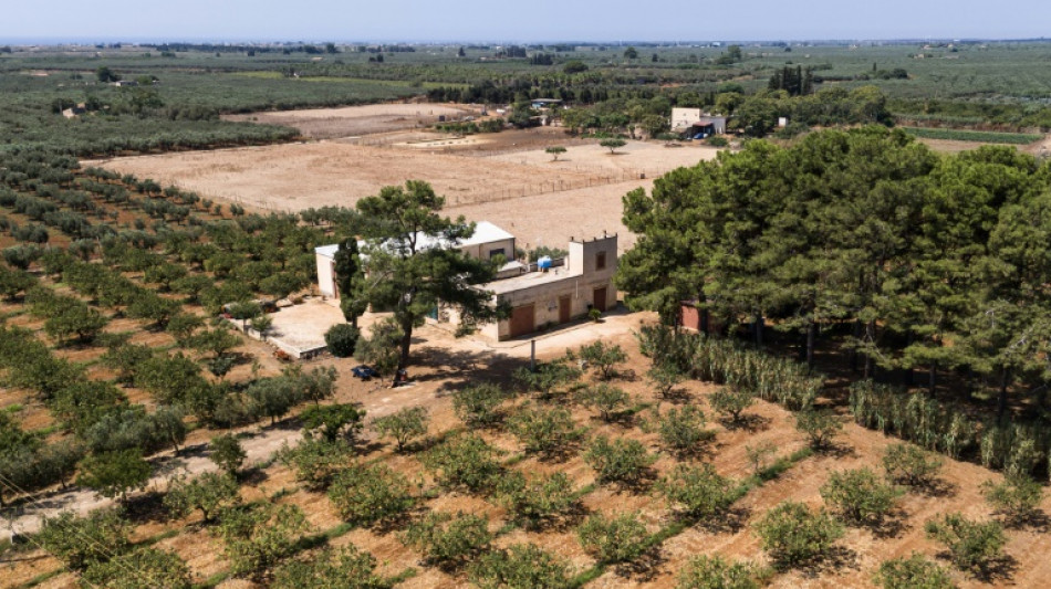 In drought-hit Sicily, rainwater is dumped in the sea