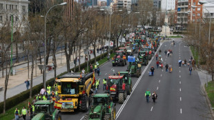 Spanish farmers stage fresh protests in Madrid