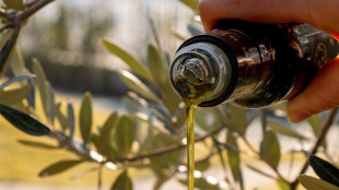 Rincari record per l'olio nel 2024, luce +108% dal 2022