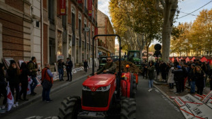 Les agriculteurs envisagent de "durcir" leur mouvement après la "gueule de bois" de la censure