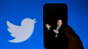 Musk floats 'general amnesty' of suspended Twitter accounts