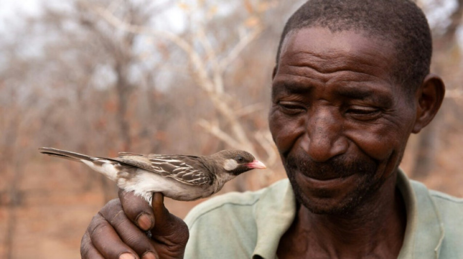 Wild birds analyze grunts, whistles made by human honey-hunters