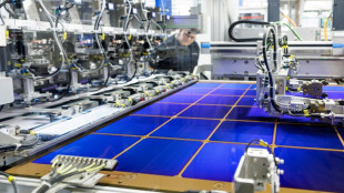 German solar industry looks to rise again