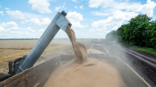 Sortir les céréales d'Ukraine: une équation complexe