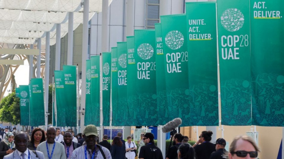 As Dubai hosts climate talks, its air pollution soars