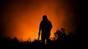 Battle rages against Chile forest fires one week in