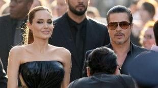 Pitt says Jolie sought 'harm' by selling vineyard to Russian oligarch
