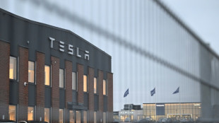 Port workers join Tesla strike in Sweden 