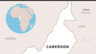 Landslide in Cameroon kills at least 11