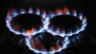 Il gas apre in calo a 34,52 euro sulla piazza Ttf di Amsterdam