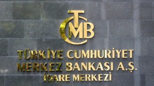 Turkey's 'genius' central banker faces high expectations