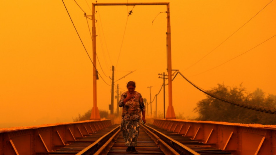 Incendios en Chile dejan 24 muertos, casi 1.000 heridos y 800 viviendas destruidas