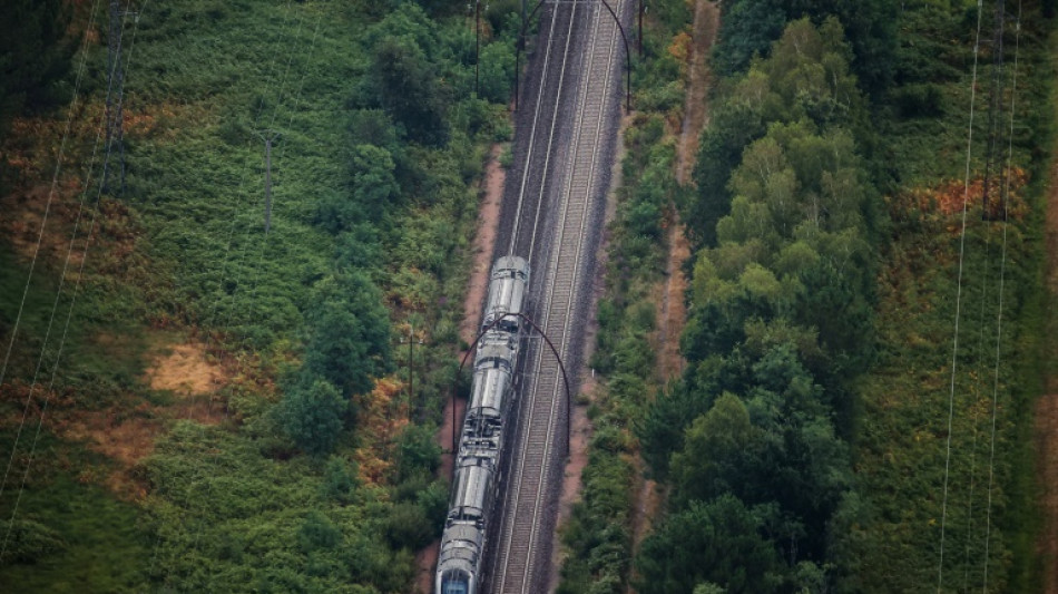 Péages ferroviaires: le Conseil d'Etat donne raison à huit régions contre SNCF Réseau