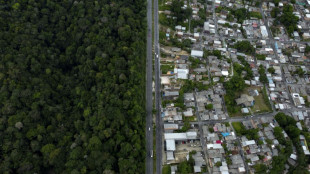 Desmatamento na Amazônia cai 33% no primeiro semestre