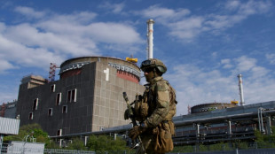 Zaporizhzhia: Nuclear power plant caught in Ukraine war