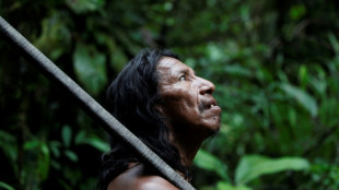 Ecuador jungle community hopes vote will end oil drilling