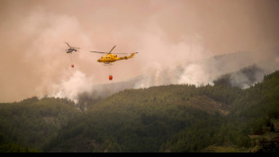 Incendie de Tenerife: Pedro Sánchez espère une stabilisation "dans les prochains jours"