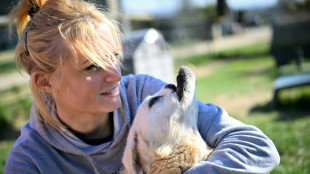 En Normandie, un sanctuaire pour donner une seconde vie aux animaux martyrisés