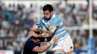 Rugby: l'Argentine de Cheika maîtrise l'Ecosse 26 à 18