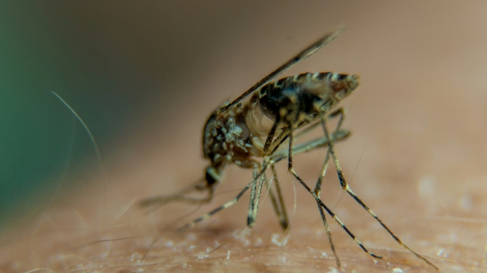 Positive results for potential first chikungunya vaccine