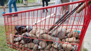 Estado de emergencia en la francesa Nueva Caledonia tras tres muertos por disturbios