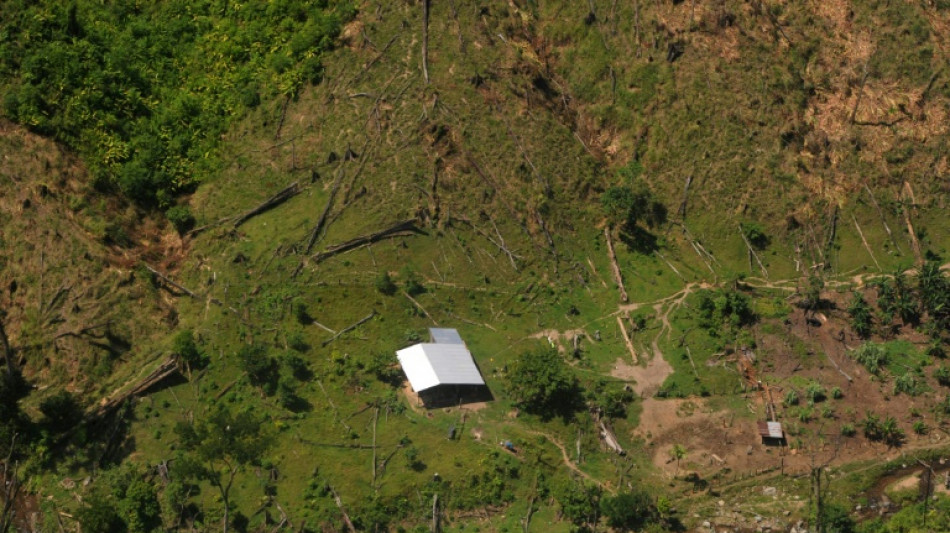 Honduras denuncia un boicot de "ocupantes de tierras" a un plan contra la deforestación