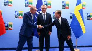 Turkey's Sweden demand rocks NATO unity ahead of summit 