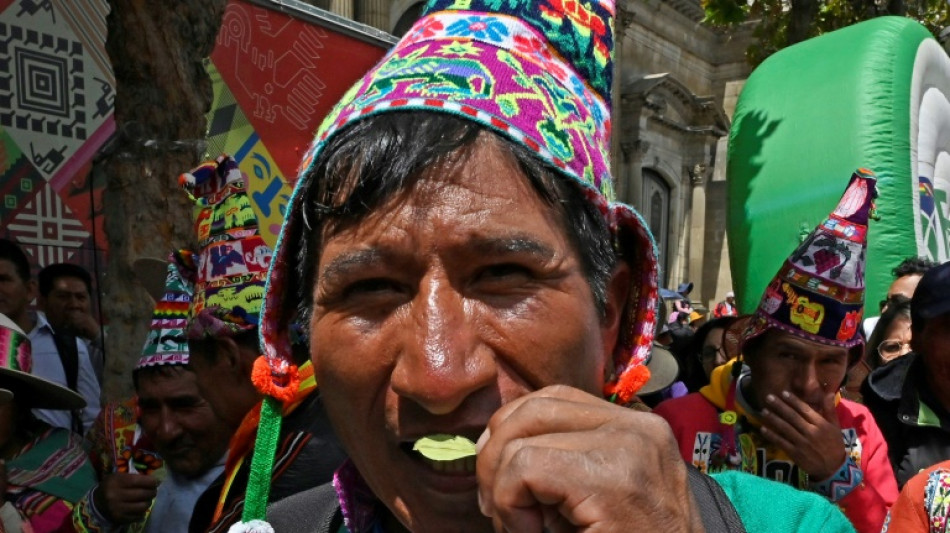 Bolivianos se reúnem em massa para mascar folha de coca contra estigma