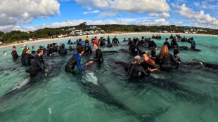 Mueren las 97 ballenas pilotos varadas en el oeste de Australia