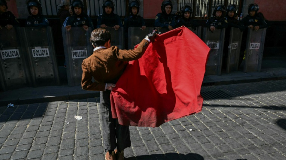 Mexico City, home to world's biggest bullring, bans killing bulls