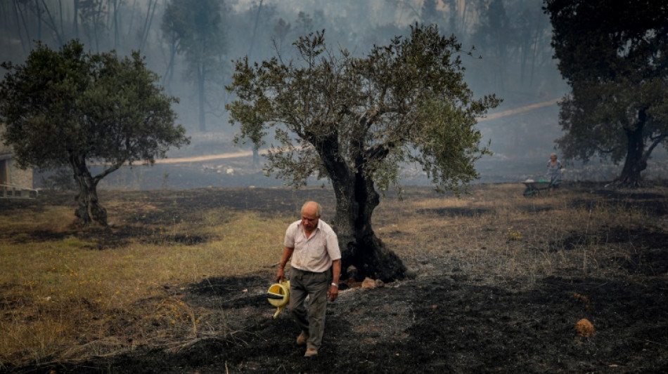 Wildfires spread across heatwave-hit Europe