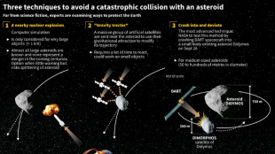 Direct impact or nuclear weapons? How to save Earth from an asteroid