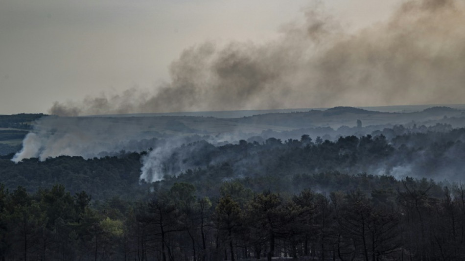 El incendio en un parque nacional griego reveló el "fracaso crónico" en la protección de la naturaleza