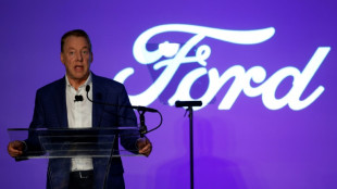 Ford executive chair calls for end of auto strike