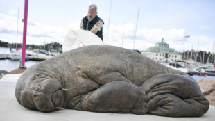 Une sculpture représentant un célèbre morse dévoilée en Norvège