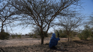 La COP15 contre la désertification s'ouvre à Abidjan 