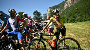 Tour de France: la 10e étape interrompue près de 15 minutes par des manifestants